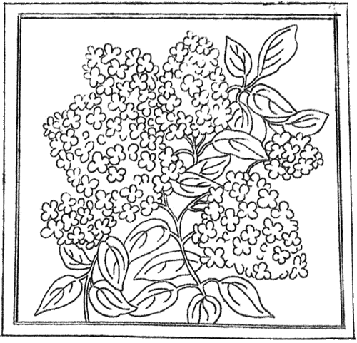C-165 Hydrangea/Lilac
16.25" x 16"
Monks: $28     Linen: $38